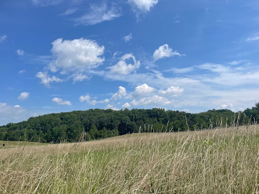 Serenity Ridge Natural Burial Cemetery and Arboretum - Thumbnail