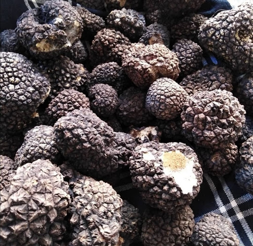 Antichi sapori di langa Gallery - Italy