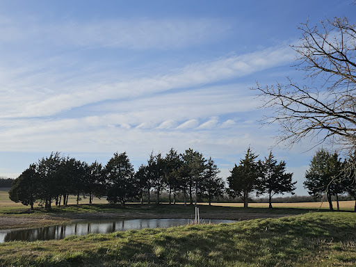 MacLennan Park Trail - Thumbnail