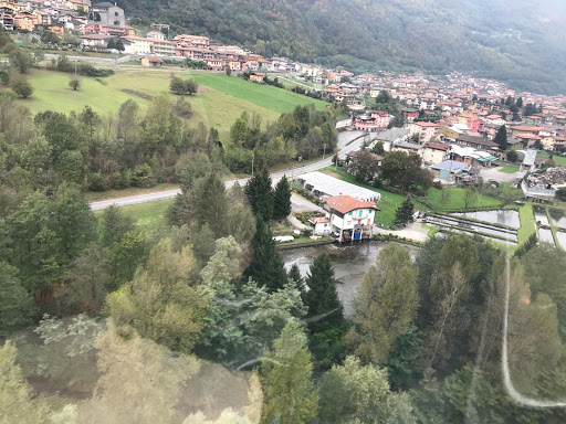 Viola Alberto - Visual