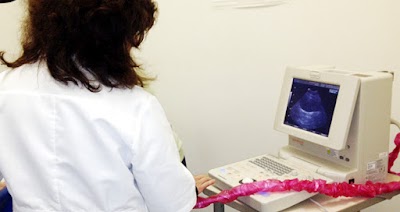 veterinary-care