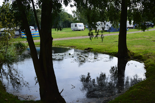 The Orchard Campsite - Thumbnail