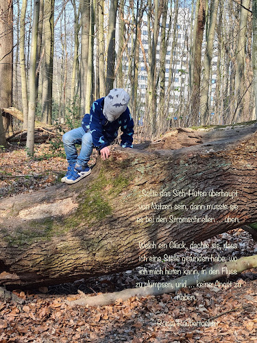 Großpflegestelle Waldwichtel Niederhofen photo