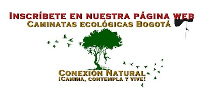 Photos of Ecologic walks Bogot&aacute;, Natural Connection