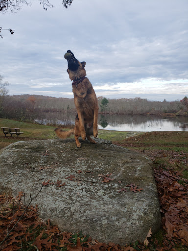 Paw Dog Park - Thumbnail