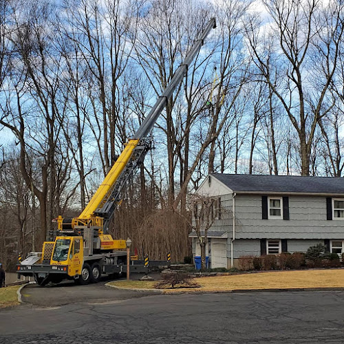 A.Kreta and Son Tree and Stump Removal