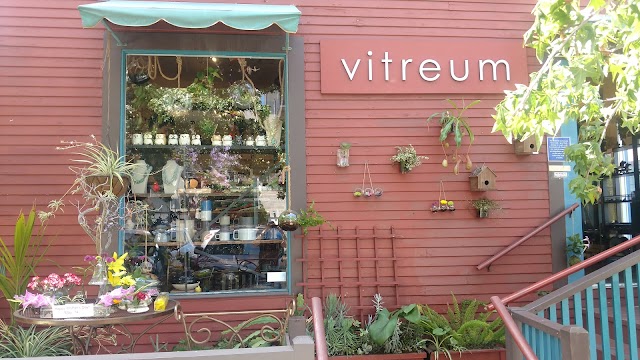 Vitreum