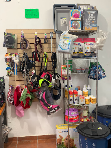 @pet-shop - Thumbnail