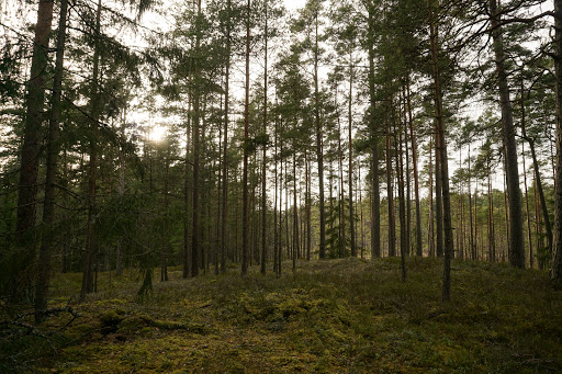 Gnosjö turistinformation