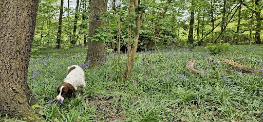 Eastham Woods Country Park - Thumbnail