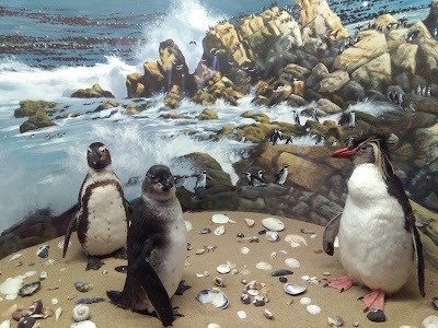 Photos of Durban Natural Science Museum