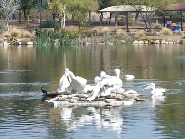 Phoenix Zoo