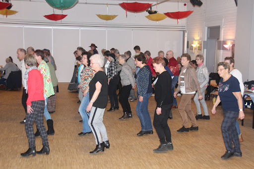 Country Line Dancers Born Country - Thumbnail