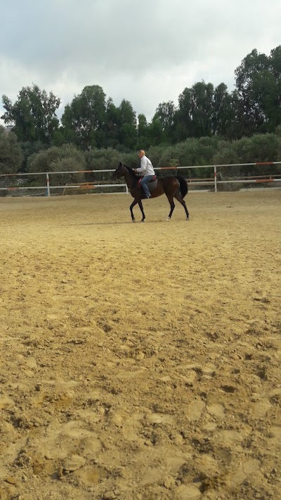 Photos of PURE ARABIAN HORSE STABLES N.E.A.D.