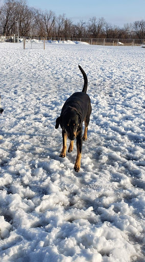 Muscatine Dog Park - Thumbnail