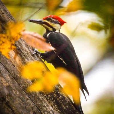 Photos of Wolf Creek Environmental Education Area