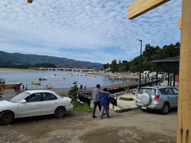 Opiniones de Mehuin Playa Missisipi en Mariquina - Camping