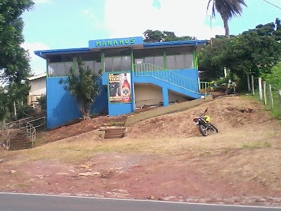 Photos of Bar Manaus