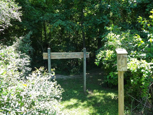 Elizabethtown Montessori School - Thumbnail
