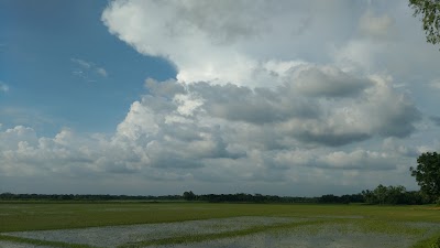 Photos of Jamalpur Bus Stop