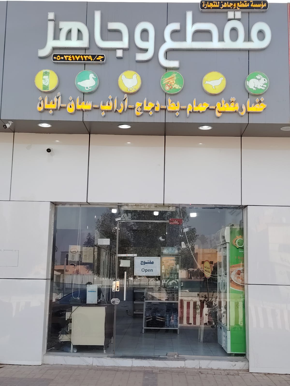 دواجن الصحافة - صورة 3