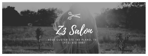 Z3 Salon - Visual