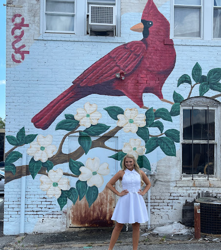 Sunless Body Custom Spray Tanning