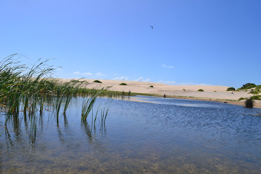 Anna Bay 4WD access