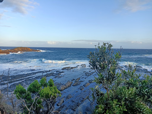 Aragunnu campground Gallery - Australia