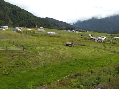 Photos of Thrumshingla National Park