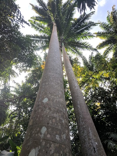 Photos of Flower Forest Botanical Gardens