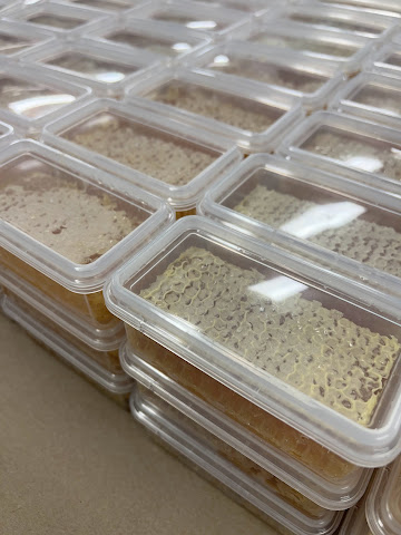 Bee One Third Pty Ltd by null