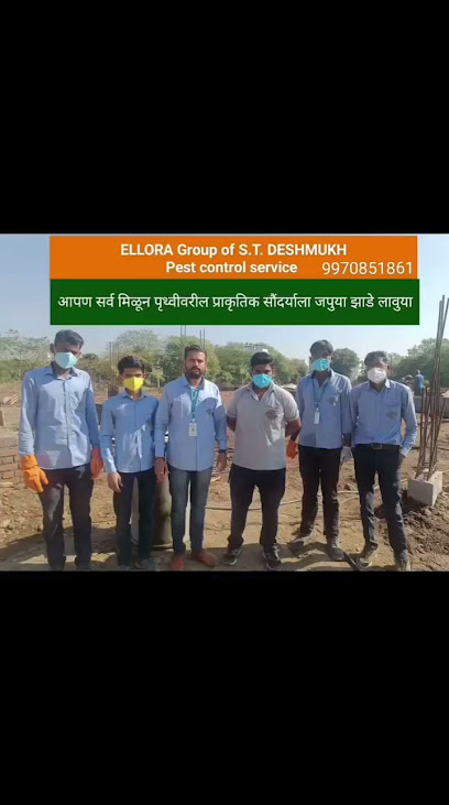 ELLORA ANTI PEST SERVICES - Pest control