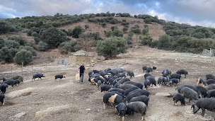 Photo n°2 de LE PANIER D'ANNIE à Porto-Vecchio (Charcuterie)