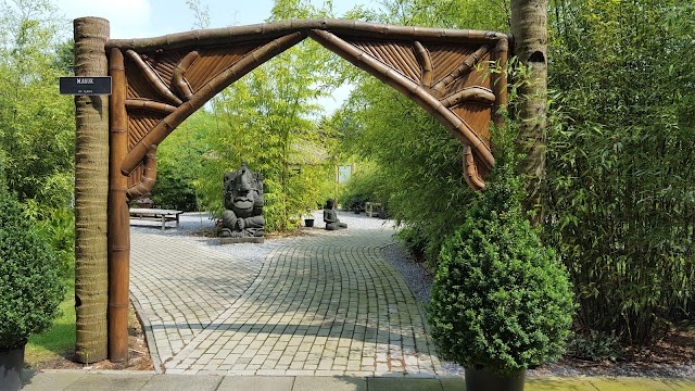 De Evenaar