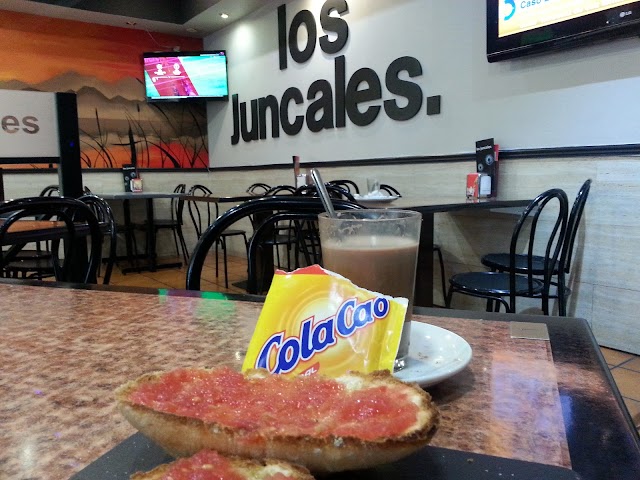 Cervecería Los Juncales