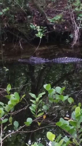 Pinecrest Group Campground, Big Cypress National Preserve Logo