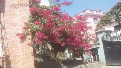 Photos of Gaurab Nembang