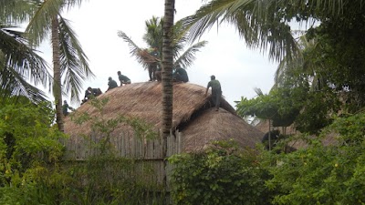 Photos of Nalhi Cafe'