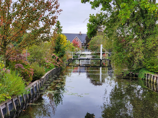 Plantentuin Esveld - Thumbnail