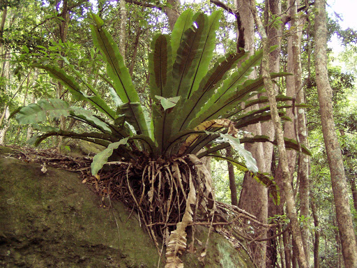 Minnamurra Office - NSW National Parks and Wildlife Service - Thumbnail