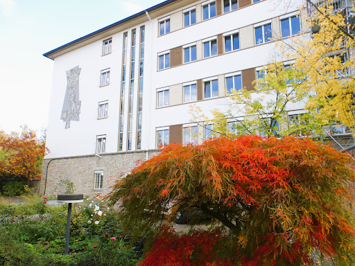 Maria-Ward-Schule für Mädchen - Thumbnail