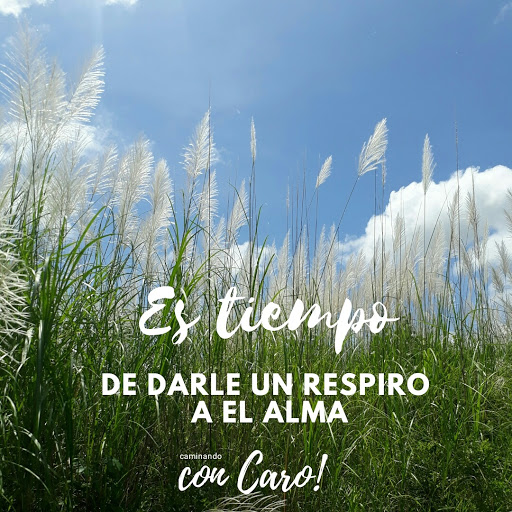 Mind&Love Kind Connections