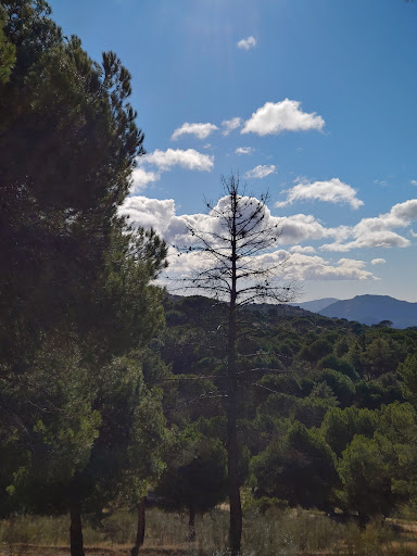 Ruta Las Cabreras. Hoyo de Pinares. - Thumbnail