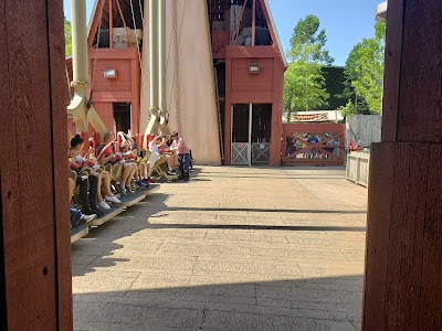 The Giant Barn Swing