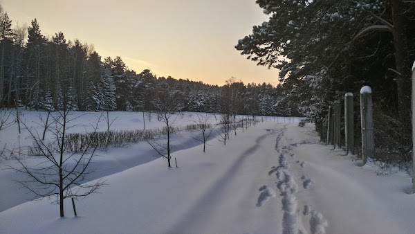 Карта парка лесоводов россии екатеринбург