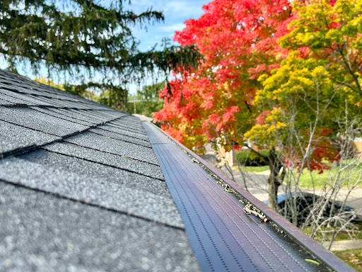 Baltic Roofing - Visual