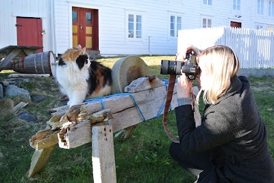Photos of Sm&oslash;la Museum