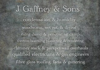 J Gaffney Damp Proofing services, Property Surveyor. Chimney, parapet wall renovation