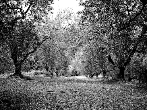 Giardino Faunistico Parco Piano Dell'Abatino Gallery - Italy
